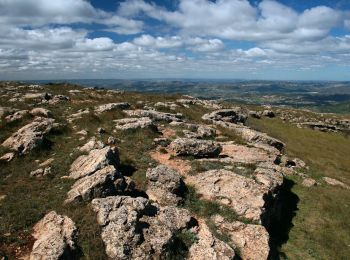 Trail On foot Colldejou - Les obagues de la Serra. Colldejou - Photo