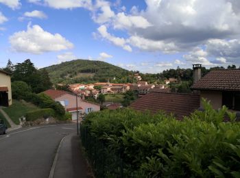 Tocht Stappen Yzeron - Izeron - Des cascades à la Madonne - Photo