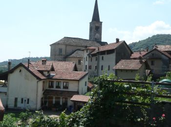 Trail On foot Arola - IT-T32 - Photo