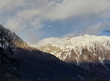 Tour Schneeschuhwandern Réallon - rando neige sans raquettes les chalets de Vaucluse allongé - Photo