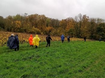 Randonnée Marche Fossoy - Fossoy du 14/11/2023 - Photo