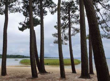 Tocht Hybride fiets Sanguinet - Sanguinet - Bords du Lac - Photo