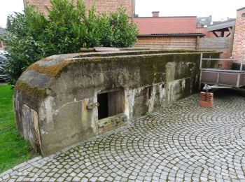 Tour Zu Fuß Willebroek - Watersportpad - Photo