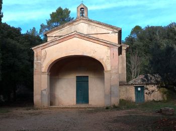 Tocht Stappen Vidauban - Astros Vidauban - Photo