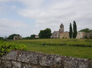 Excursión Senderismo Sablonceaux - abbaye de Sablonceaux  - Photo