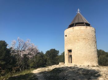 Tour Zu Fuß Fontvieille - Les moulins et l'aqueduc romain - Photo