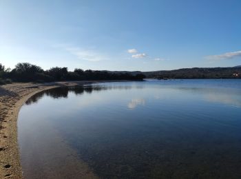 Trail Walking Figari - la testa retour - Photo