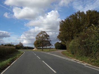 Percorso A piedi Braintree - John Ray Walk - Photo