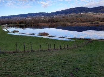 Tour Wandern Plateau d'Hauteville - tour des LÉSINES - Photo