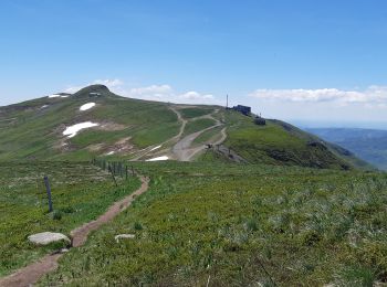 Excursión Senderismo Paulhac - circuit du plomb du cantal - Photo