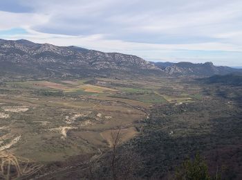 Trail Walking Laroque - Le Thaurac - Photo
