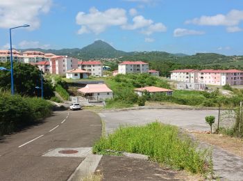 Tocht Stappen Le Vauclin - Boucle Pointe Faula Maroquet  Pte Grenade - Photo