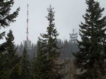 Tour Zu Fuß Gemeinde Trattenbach - Schwarzenberg-Rundwanderweg T6 - Photo