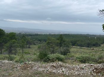 Tocht Stappen Fabrègues - La Gardiole - Photo