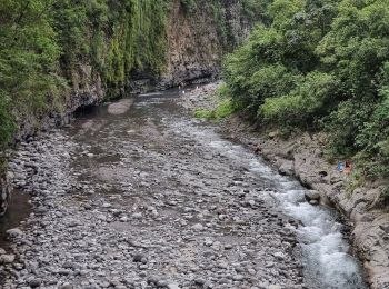 Randonnée Marche Entre-Deux - fond de la rivière - pont de liane - Photo