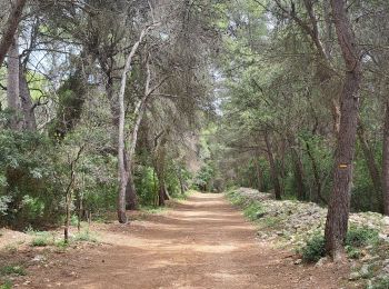 Excursión Senderismo Vic-la-Gardiole - Circuit des salines  - Photo