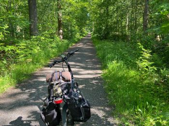 Excursión Bici de carretera Cortrique - Kortrijk -la pann - Photo