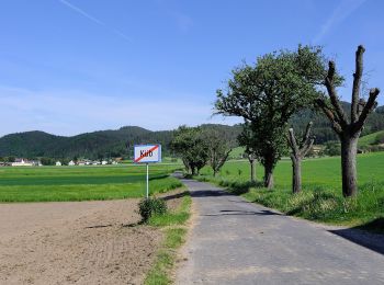 Randonnée A pied Gemeinde Payerbach - Weg PA 15 - Photo