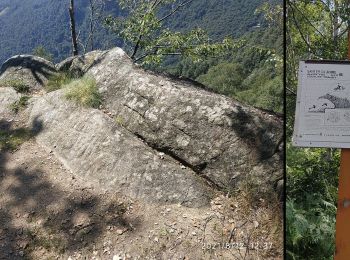 Trail On foot Traversella - IT-750 - Photo