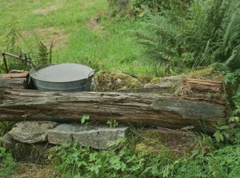 Percorso A piedi Ulrichsberg - Nordwaldkammweg Verbindungsweg V2 - Photo