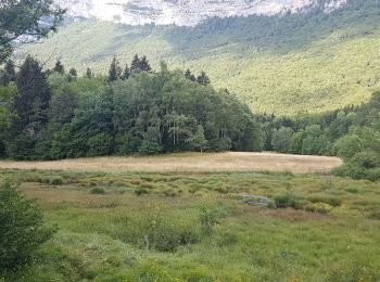 Percorso Camminata nordica Claix - Les 'Très Hauts' du Peuil - Photo