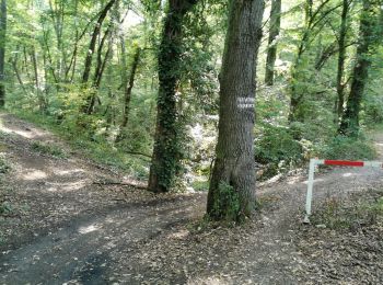 Percorso Mountainbike Flavigny-sur-Moselle - 16km-decouverte - Photo