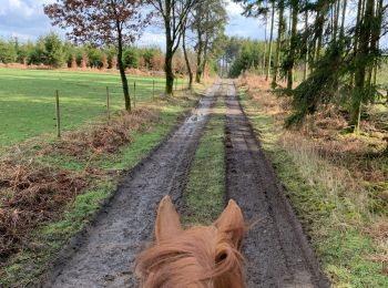 Randonnée Randonnée équestre Léglise - Campagne Traimont - Photo