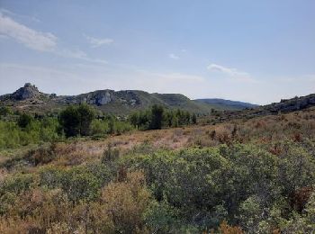 Trail Walking Eyguières - Tour du Mont Menu - MR - Photo