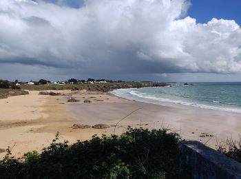 Excursión A pie L'Île-d'Yeu - La Sente de La Meule - Photo