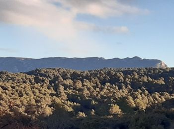 Tour Wandern Venelles - Venelles Le Collet Blanc - Photo