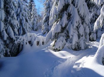 Tour Wandern Haut Valromey - les bergonnes  - Photo