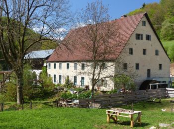 Randonnée A pied Hiltpoltstein - Großenohe Grünring - Photo