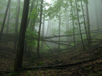 Tour Zu Fuß Kemence - P■, Rakottyás-bérc - Photo