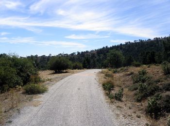 Percorso A piedi Guadarrama - [SL-M 44006] Bosque plateado - Photo