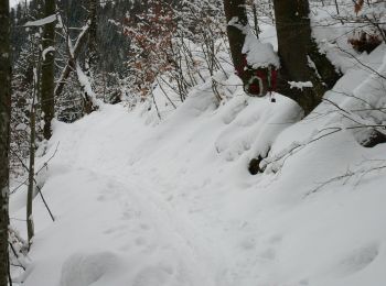 Excursión A pie Frasdorf - Winterstuben-Runde - Photo