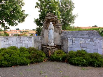 Trail On foot Saint-Lumine-de-Clisson - Circuit des Coteaux Luminais - Photo