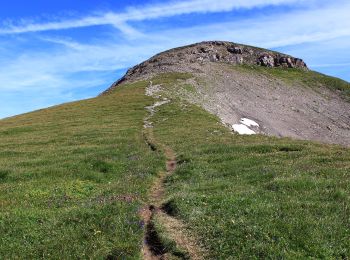 Trail On foot Isenthal - Bannalper Schonegg - Rot Grätli - Photo
