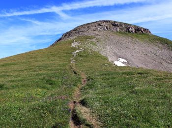 Tocht Te voet Isenthal - Bannalper Schonegg - Rot Grätli - Photo