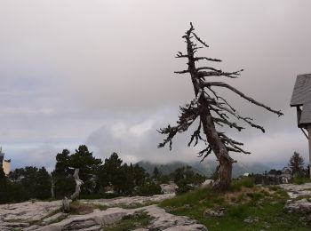 Tour Wandern Arette - Col de Pescamou Arette La pierre St. Martin - Photo