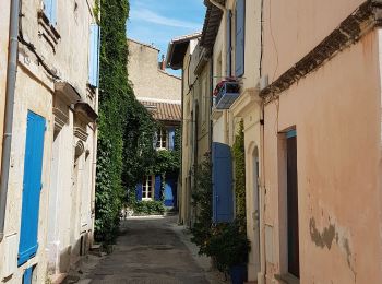 Percorso Cicloturismo Sauveterre - Sauveterre - Arles - Photo