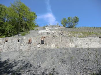 Percorso A piedi Eslohe - Wenholthausen Rundweg W1 - Photo