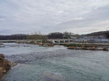 Tour Zu Fuß Rheinfelden - Rheinfelder Rheinuferweg - Photo