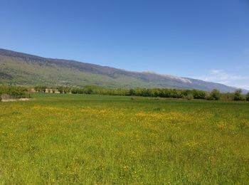 Randonnée Randonnée équestre Péron - Le près neuf  - Photo