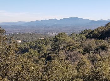 Tour Wandern Saint-Maximin-la-Sainte-Baume - SAINT MAXIMIN LA SAINTE BAUME - AUTOUR DU DEFENS - Photo