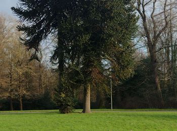 Excursión Senderismo Manage - Promenade en famille à Mariemont - Photo