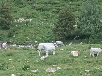 Tour Wandern Eyne - Col de Nuria par vallée d'EYNE - Photo