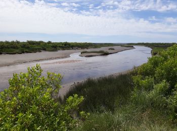 Trail Walking Audenge - boucle de  Graveyron  - Photo