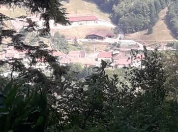 Excursión Senderismo Steige - Steige blanc - Photo