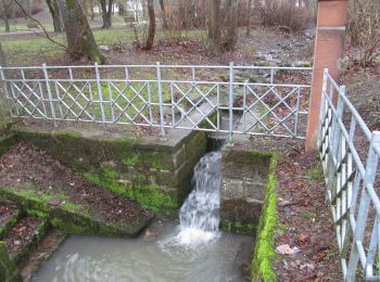 Percorso A piedi Hessisch Lichtenau - Rundwanderweg Hessisch Lichtenau HL1 - Photo