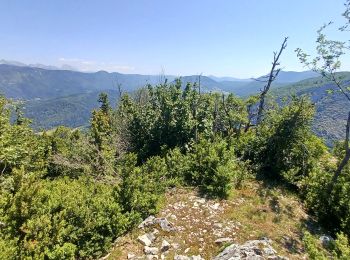 Randonnée Marche Saint-Martin-en-Vercors - Rocher de l'Allier - Photo